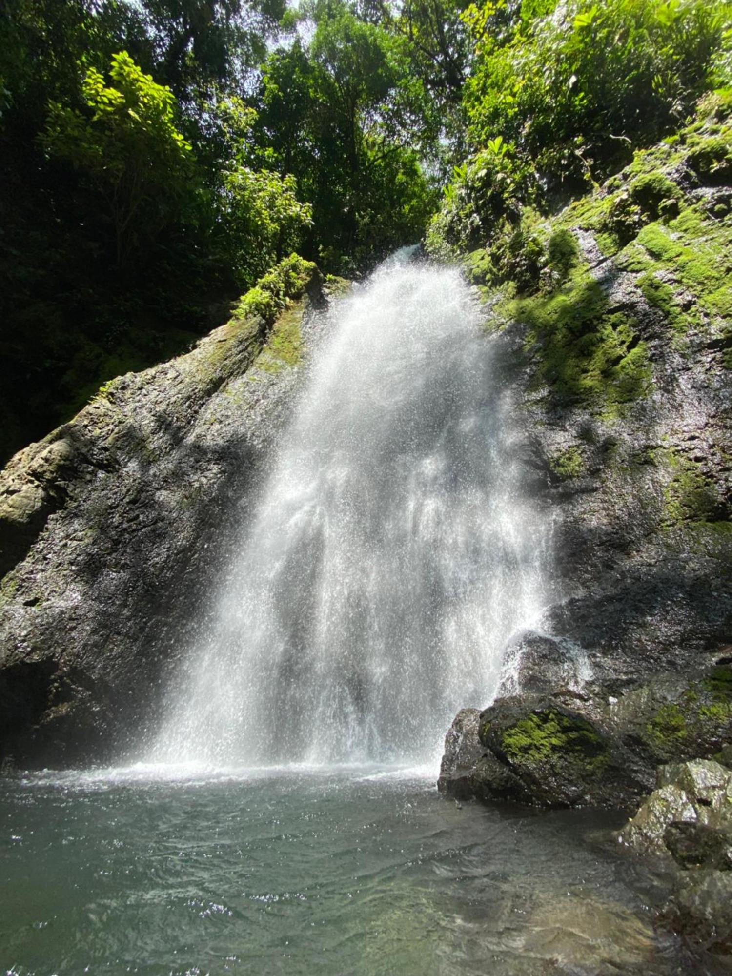 Cabinas Corcovado Green Parrot, Los Planes Drake Drakes Bay Exteriér fotografie