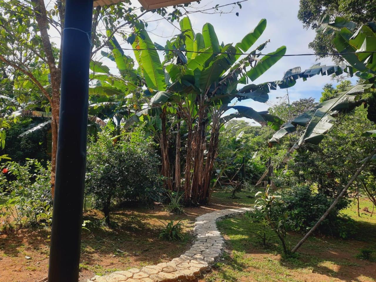 Cabinas Corcovado Green Parrot, Los Planes Drake Drakes Bay Exteriér fotografie